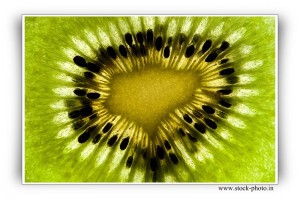 Indoor Activities for Seniors - Indoor Photography Kiwi