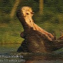 FREE Printable Jigsaw Puzzle: Hippo 1 (Small + Large Pieces)