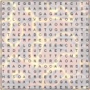 Word Search for Seniors – FLIGHT Puzzle