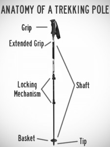Choosing the Right Walking Poles for Hiking Seniors.jpg