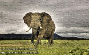 FREE Printable Jigsaw Puzzle: Elephant 1 (Small + Large Pieces). A majestic elephant standing tall alone outside on the grass.