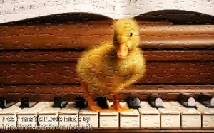 FREE Printable Jigsaw Puzzle: Baby Duck 1 (Small + Large Pieces). A furry and cute small baby duck standing on top of a piano.