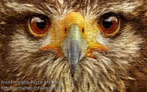 FREE Printable Jigsaw Puzzle: Eagle 1 (Small + Large Pieces). A very close up face view of a majestic eagle with all the details of its face and eyes in wonderful detail.