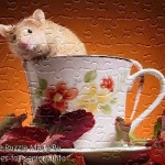 FREE Printable Jigsaw Puzzle: Hamster 2 (Small + Large Pieces)