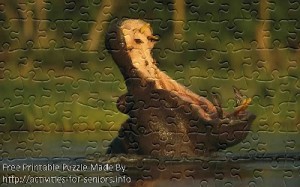 FREE Printable Jigsaw Puzzle: Hippo 1 (Small + Large Pieces). A great picture of a hippo who has his mouth wide open showing us an amazing sight.