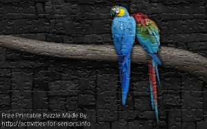 FREE Printable Jigsaw Puzzle: Parrot 1 (Small + Large Pieces). A picture of two very colourful and gorgeous parrots sitting on a branch.