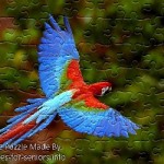 FREE Printable Jigsaw Puzzle: Parrot 2 (Small + Large Pieces)