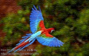 FREE Printable Jigsaw Puzzle: Parrot 2 (Small + Large Pieces). A gorgeous red and blue parrot in caught in flight with its wings wide open.