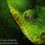 FREE Printable Jigsaw Puzzle: Snake 1 (Small + Large Pieces)