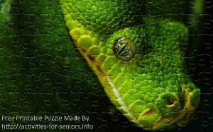 FREE Printable Jigsaw Puzzle: Snake 1 (Small + Large Pieces). A really unbelievable picture of a green snake shot close up in full amazing detail especially its very unique eye.