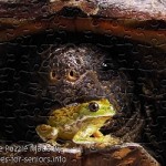 FREE Printable Jigsaw Puzzle: Turtle and frog 1 (Small + Large Pieces)