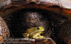 FREE Printable Jigsaw Puzzle: Turtle and frog 1 (Small + Large Pieces). A rather interesting and highly detailed picture of a green small frog in the forefront and a massive turtle in the background creating an fascinating contrast.