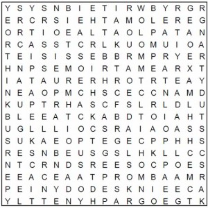 word search for seniors - AT SCHOOL puzzle