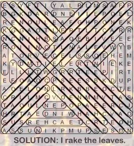 word search for seniors - AUTUMN puzzle solution