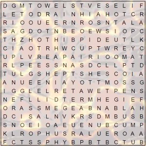 word search for seniors - IN THE BATHROOM puzzle