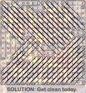 word search for seniors - IN THE BATHROOM puzzle solution