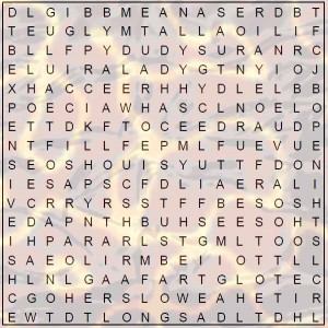 word search for seniors - adjectives describe puzzle