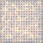 Word Search for Seniors – FLIGHT Puzzle