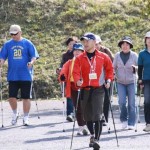 Anti-Shock Walking Poles