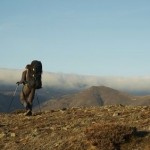 Standard Walking Poles or Anti-Shock Walking Poles