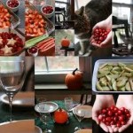 Creating A Thanksgiving Collage