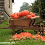 Thanksgiving Outdoor Decorations