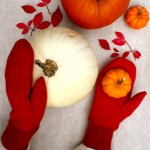 Winter Craft For Seniors – Mitten Crafts